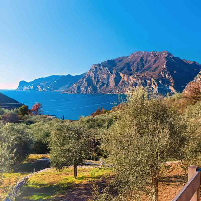 Olivenhaine mit Blick auf den Gardasee unter blauem Himmel.