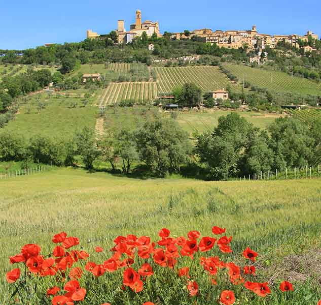 Landschaft mit Mohnblumen und Dorf.
