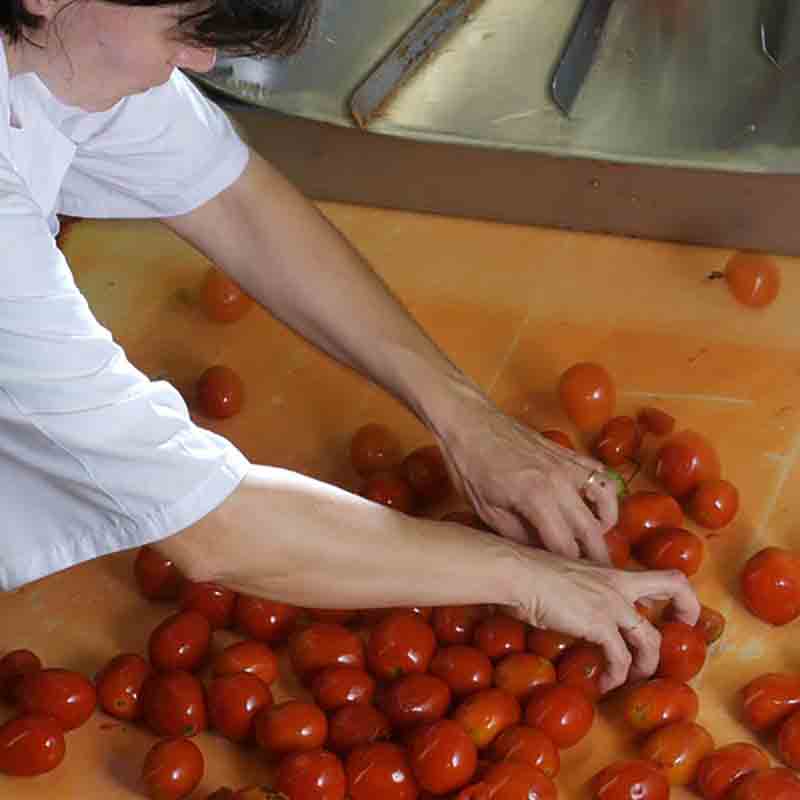 Person sortiert frische Tomaten.