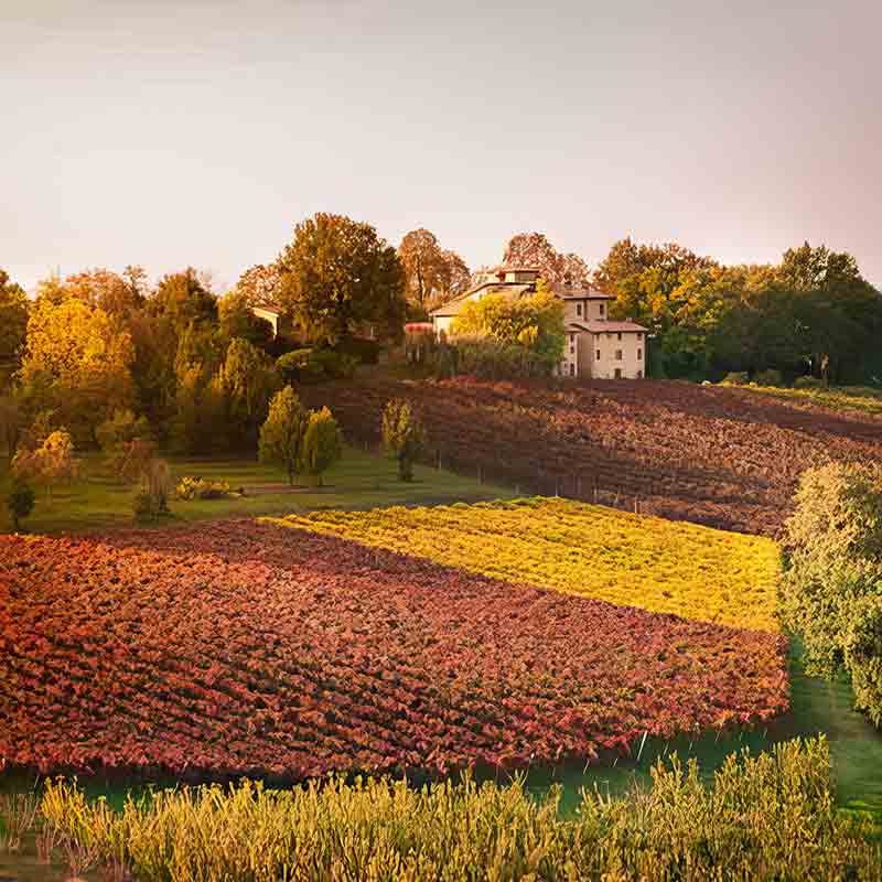Herbstlicher Ausblick über Felder hinüber zur Ölmühle Turri