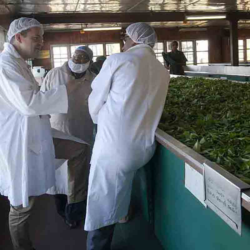 Personen in Laborumgebung mit Pflanzen.