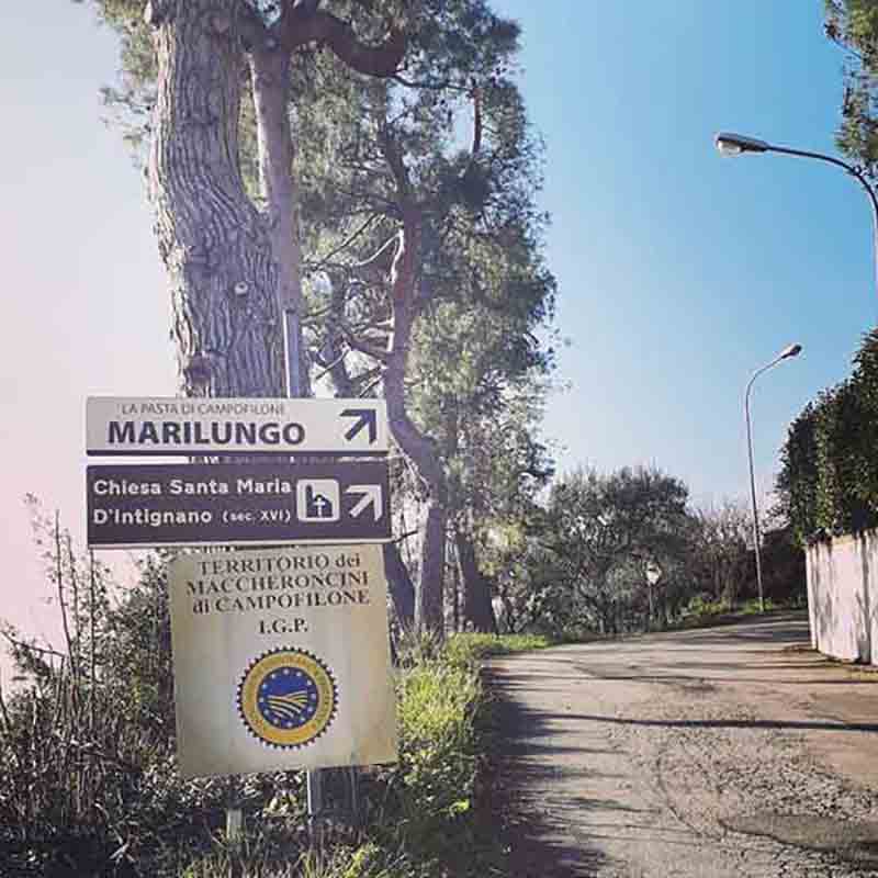 Straßenschild mit Bäumen und Weg.