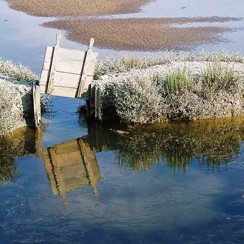 Naturschutzgebiet mit Salinen Becken.
