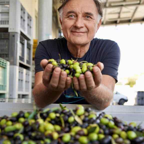 Agostini Inhaber zeigt die frischen Oliven.