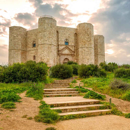 La Spineta, Terra di Bari Castel del Monte DOP - Pellegrino