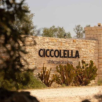 Ciccolella Cagnara D.O.P. Terra di Bari - Olio Award Siegeröl 2026