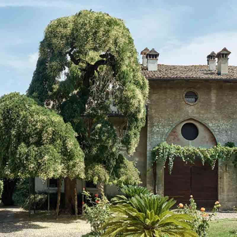 Üppig grüner Garten der Acetaia in Modena.