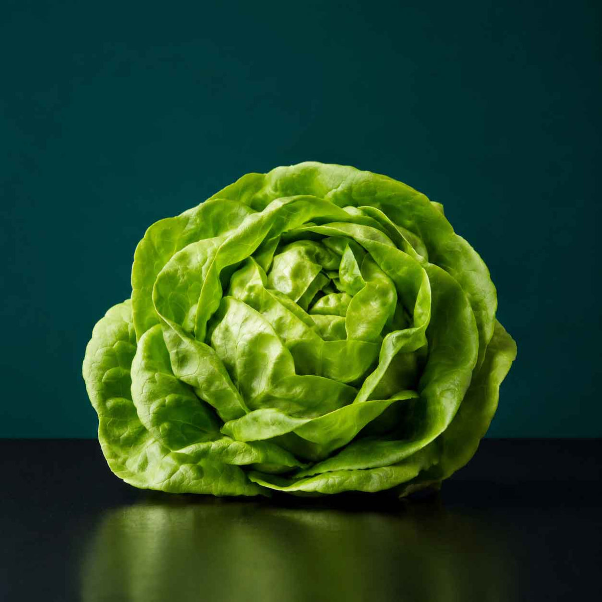 Kopfsalat