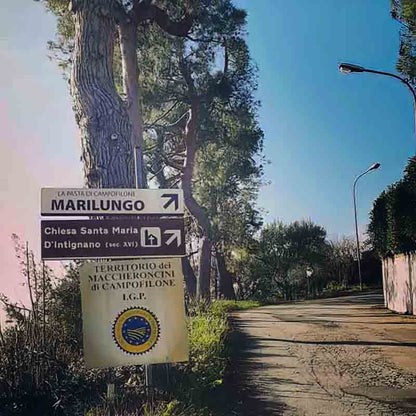 Straßenschild mit Bäumen und Weg.