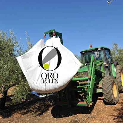 Oro Bailén, Hojiblanca - Olivenöl intensiv-fruchtig aus Spanien