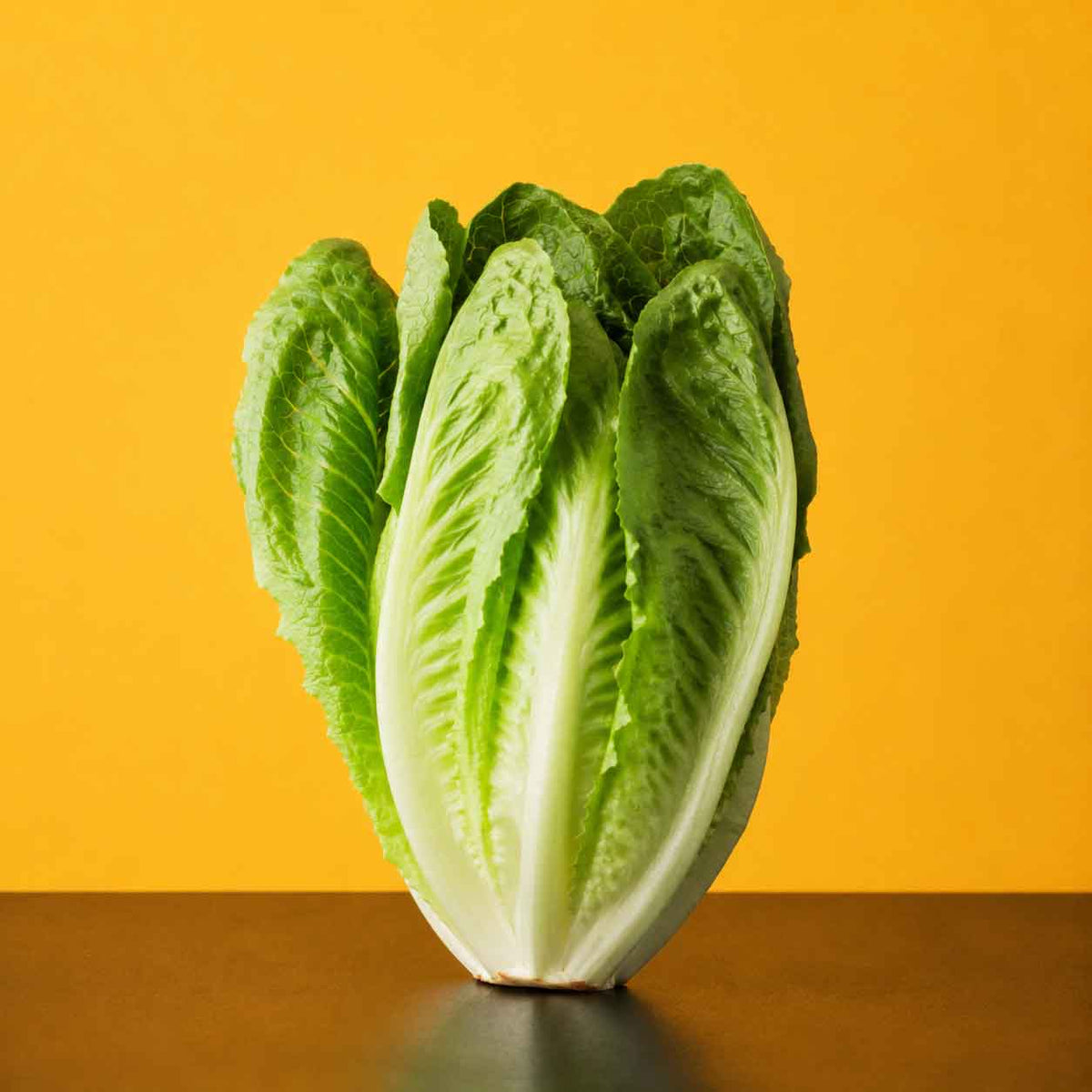 Romana-Salat
