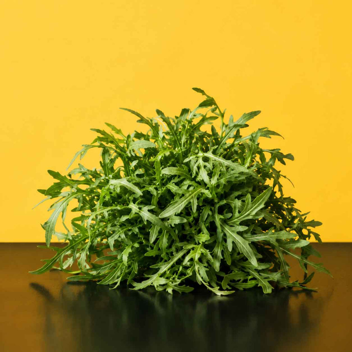 Rucola