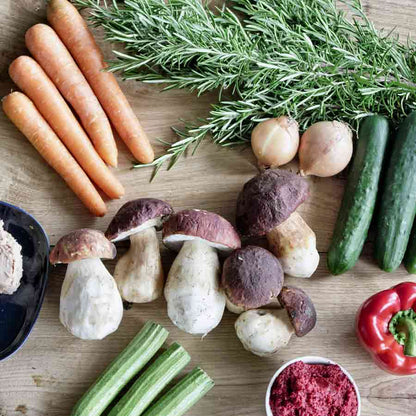 Karotten, Steinpilze, Rosmarin, Zwiebeln, Gurken, Paprika, Rote-Bete-Püree.